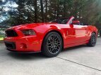 Thumbnail Photo 1 for 2014 Ford Mustang Shelby GT500 Convertible